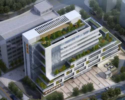 南宁试管助孕：广西壮族自治区妇幼保健院辅助生殖技术成功率详解