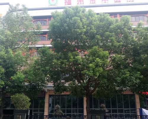 广西卵子捐赠助孕指南：解析广西壮族自治区人口与计划生育条例